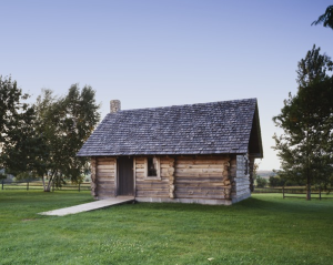 Image 6