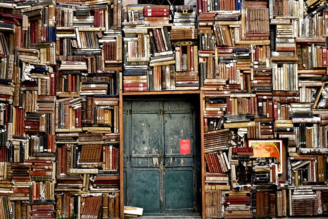 Books 1655783 640